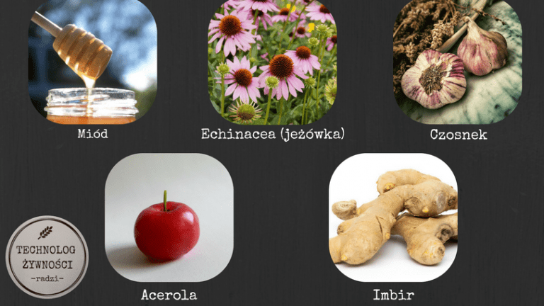 Naturalny antybiotyk, czyli miód, echinacea, acerola, czosnek, imbir