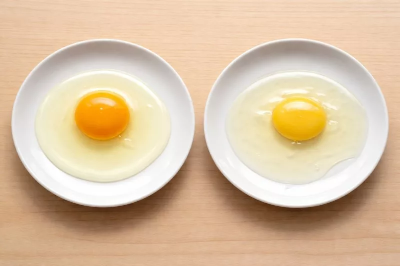 Porównanie świeżego i starego jajka po rozbiciu na talerz