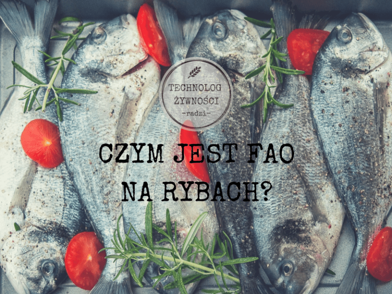 FAO na rybach- Czym jest i po co?