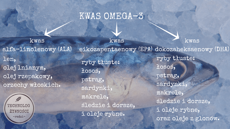 podział omega 3