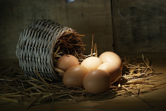 Czy jaja są świeże? Jak to sprawdzić w domu?
