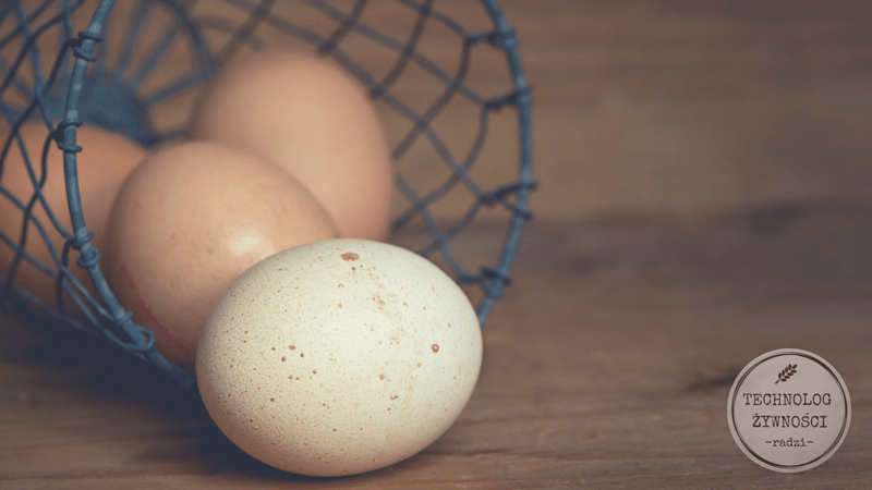 białe jaja kolor skorupki jaja jajka