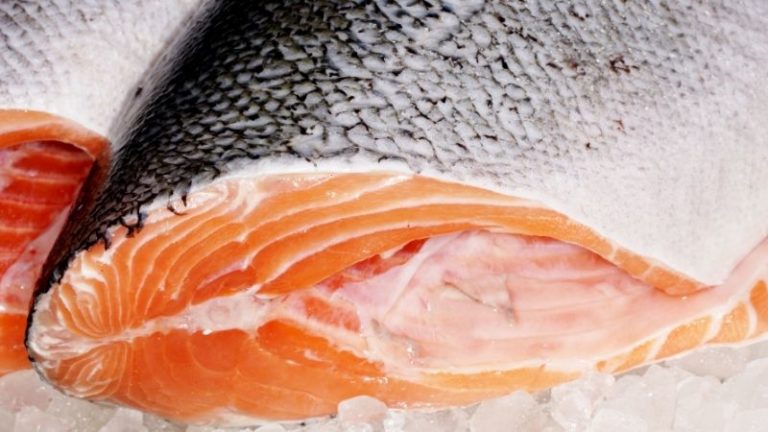 Czy jedzenie surowego łososia jest bezpieczne?