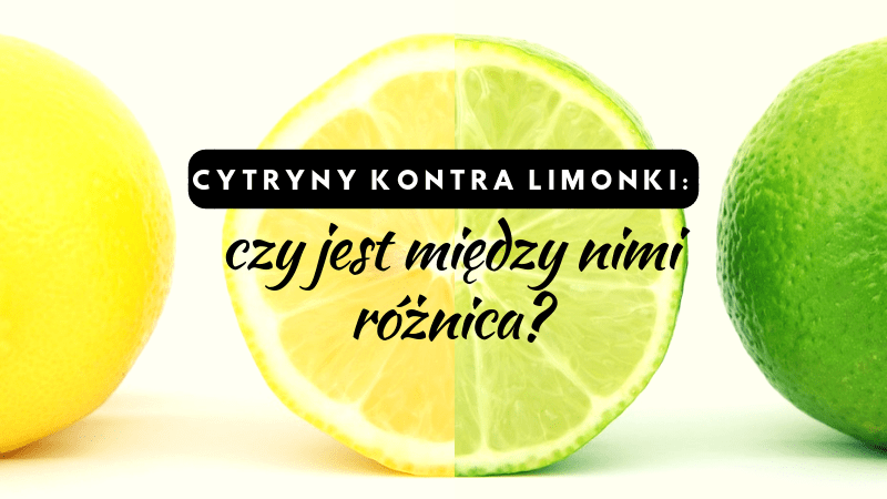 limonki cytryna cytryny limonka różnice smak zastosowanie