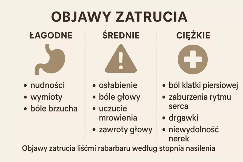 Objawy zatrucia liśćmi rabarbaru według stopnia nasilenia
