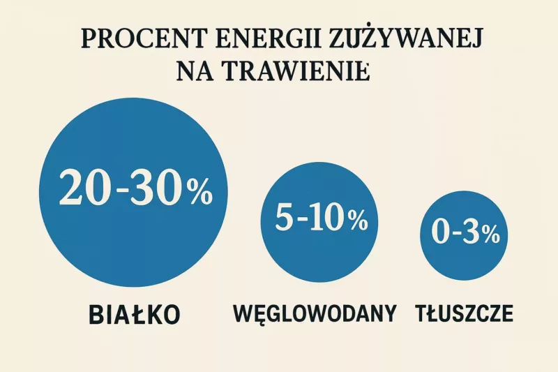 Efekt termiczny różnych makroskładników odżywczych: białko, węglowodany i tłuszcze