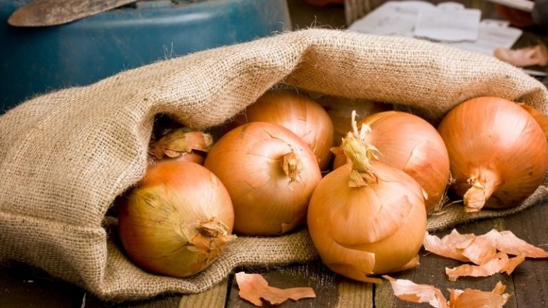 Jak prawidłowo przechowywać cebulę w kuchni?