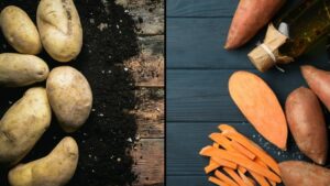 bataty ziemniak różnice ig