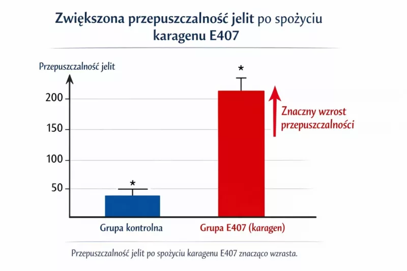 Wykres pokazujący zwiększoną przepuszczalność jelit po spożyciu karagenu E407