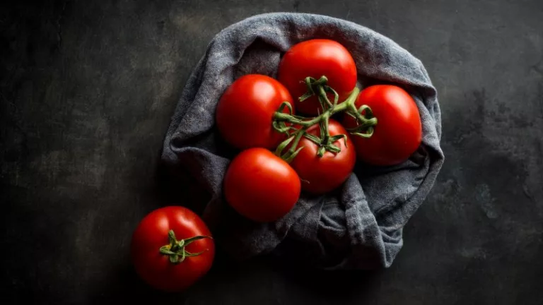 Jak wybrać i przechowywać pomidory, aby miały smak?