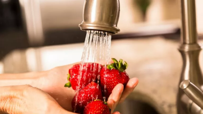 czy myć owoce i warzywa przed włożeniem do lodówki