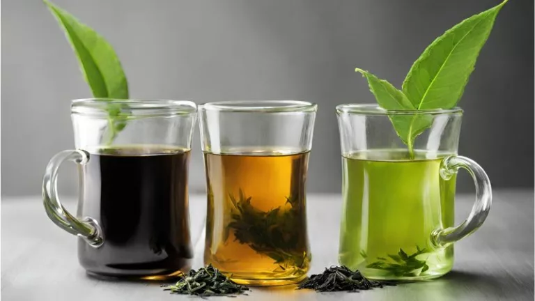 zielona czarna herbata