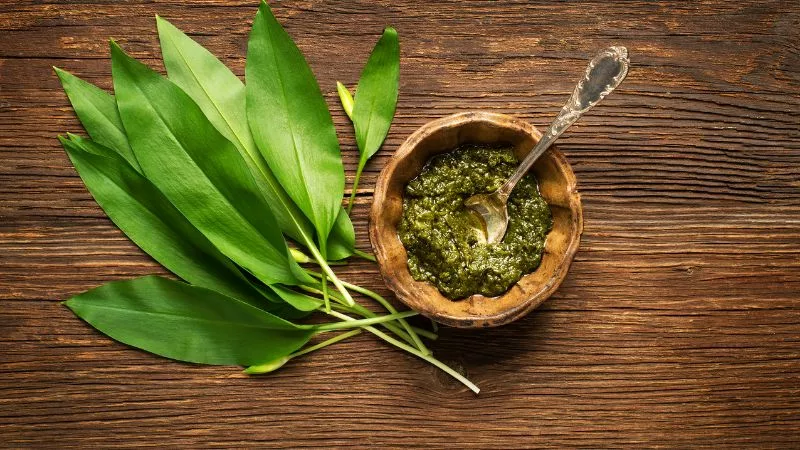 Czosnek niedźwiedzi: właściwości, zastosowanie i uprawa