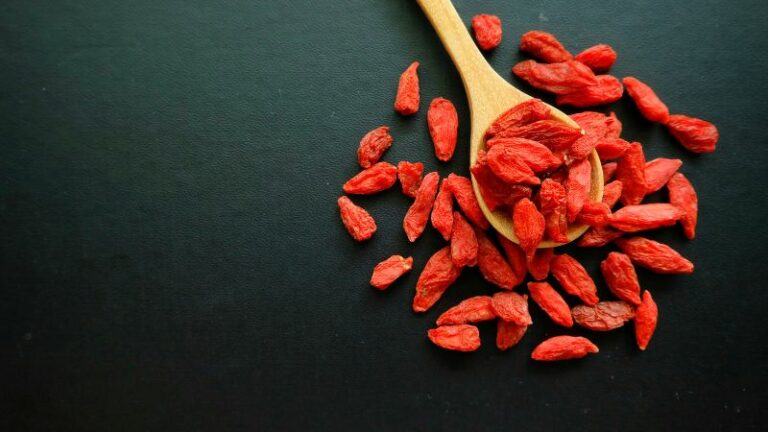 jagody goji właściwości