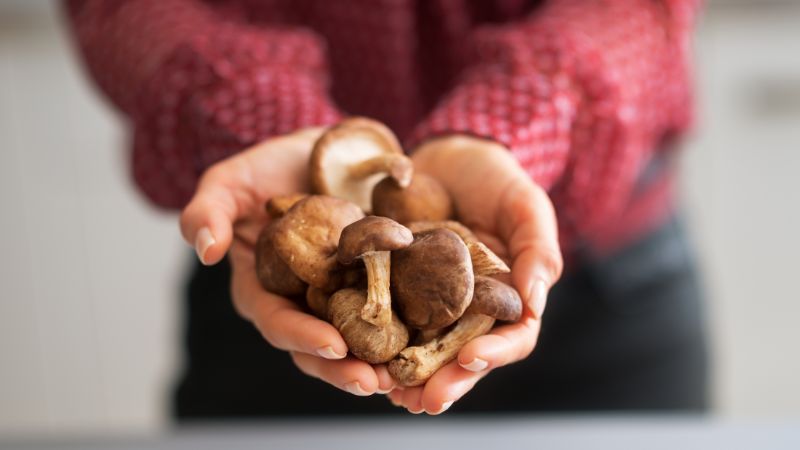 Grzyby Shiitake: korzyści zdrowotne, wartości odżywcze i przeciwwskazania