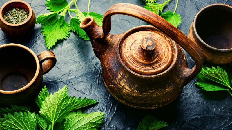 herbata z pokrzywy zdrowie