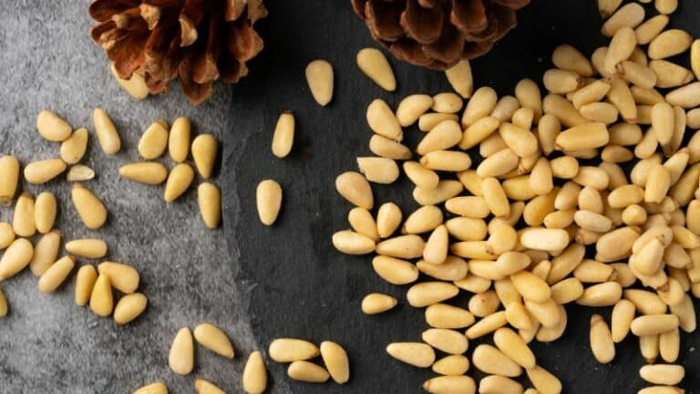 orzechy piniowe