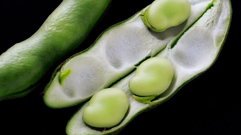 bób surowy czy można jeść