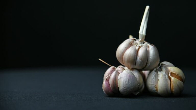 czosnek właściwości