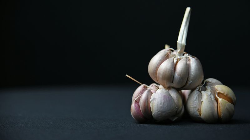 czosnek właściwości