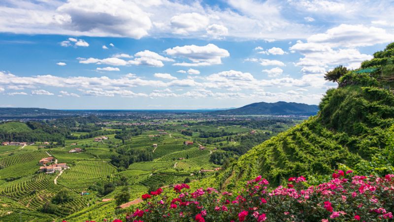 Czy wszystkie Prosecco są takie same?