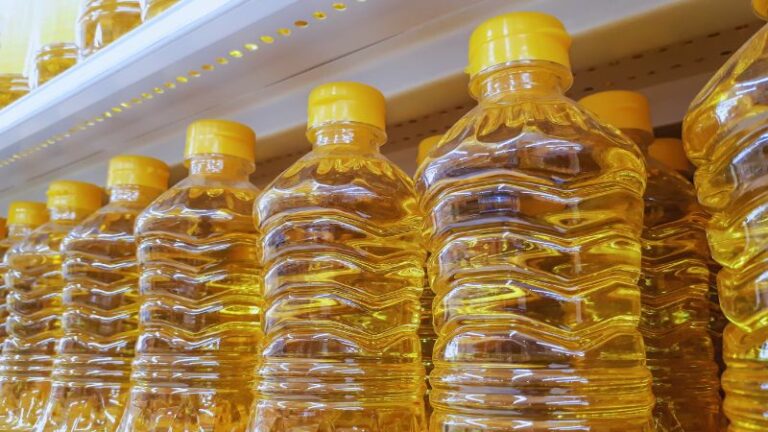 Czy olej rzepakowy jest zdrowy? – fakty i mity dla konsumenta