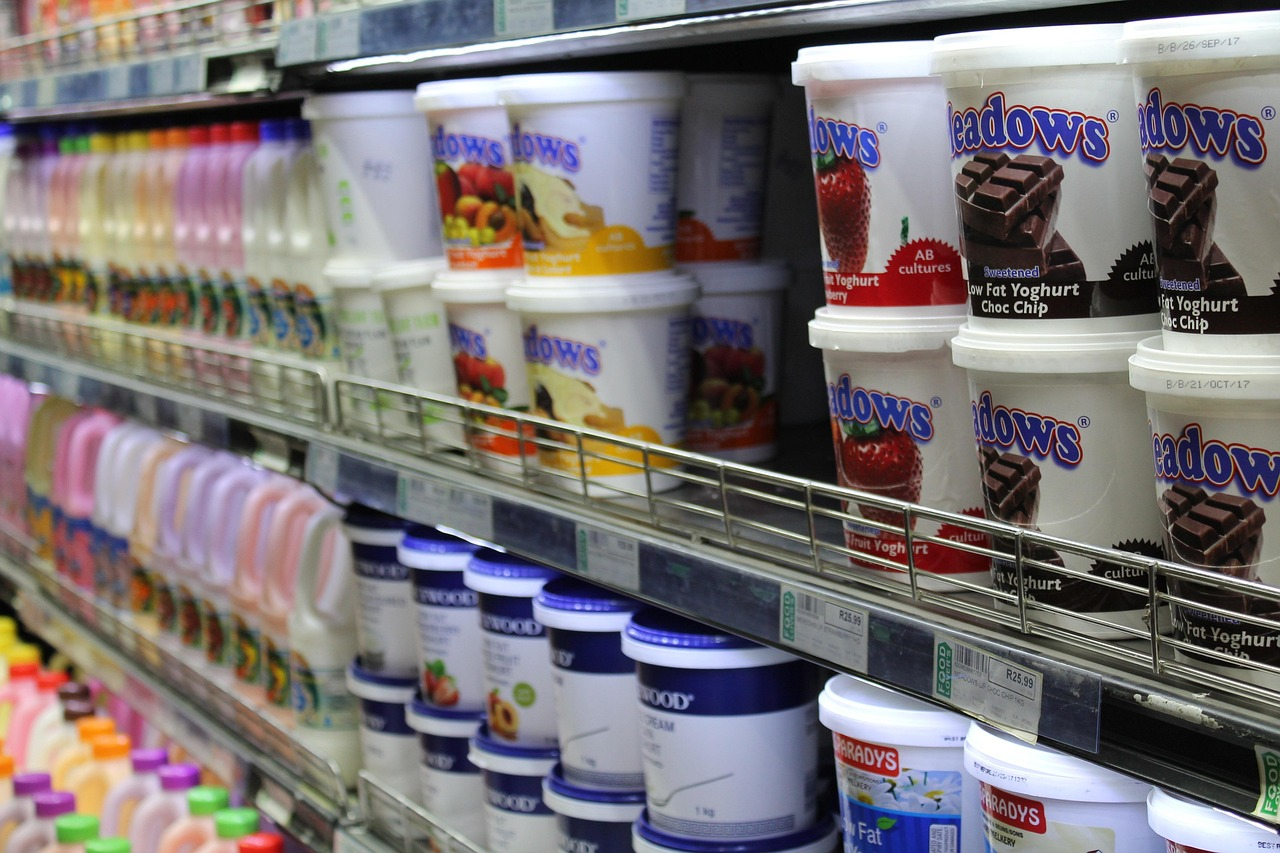 Samochody do cateringu nowoczesna flota chłodnicza gotowa do działania