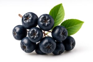 Świeże owoce aronii czarnoowocowej - naturalne źródło antyoksydantów